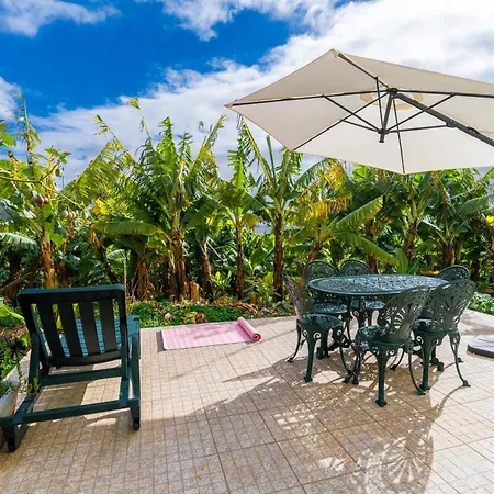 Sleep Among The Bananas! Rustic Cottage With Trails At Your Doorstep Ponta do Sol  Exterior photo
