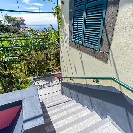 Sleep Among The Bananas! Rustic Cottage With Trails At Your Doorstep Ponta do Sol  Exterior photo