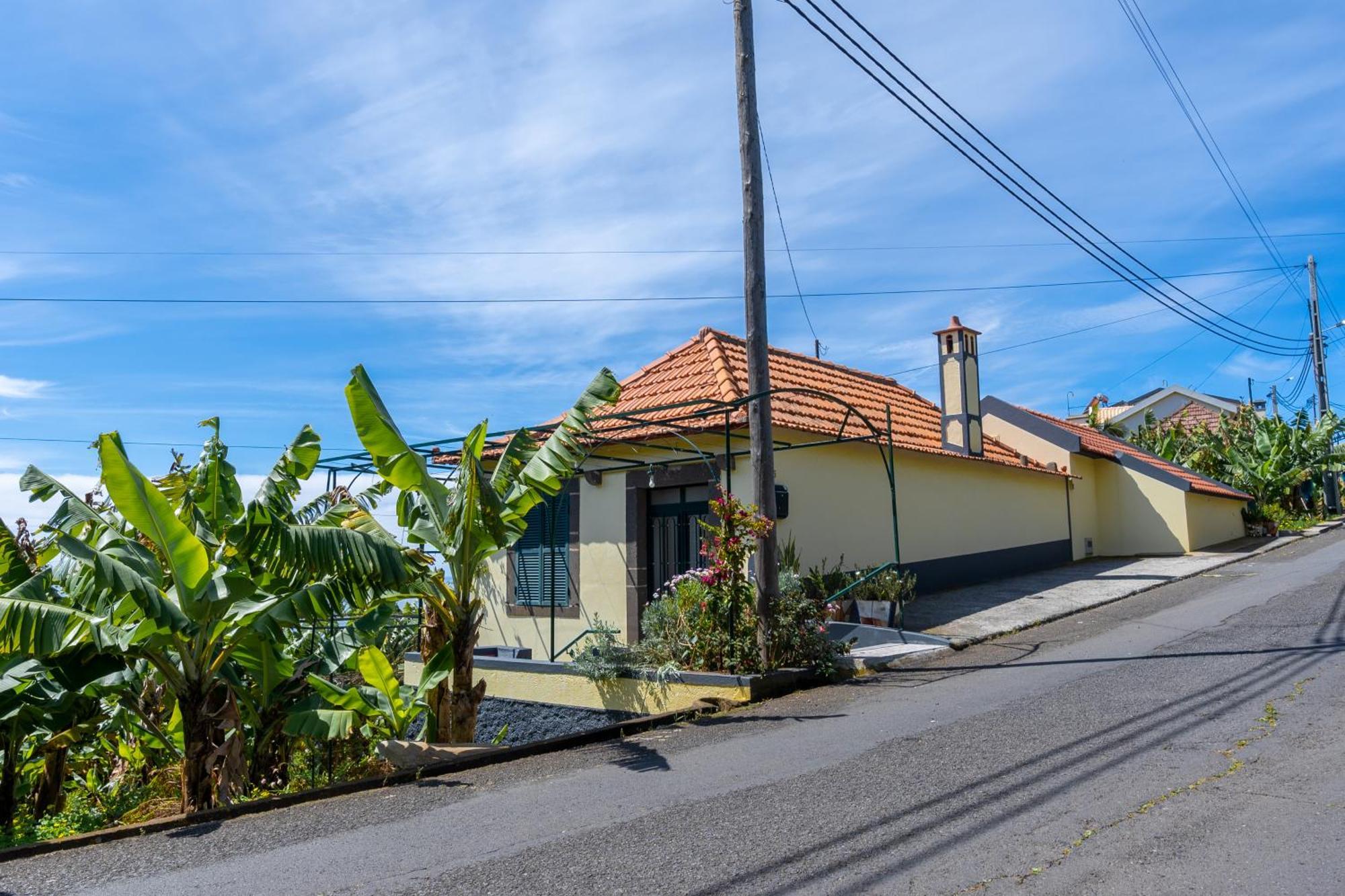 Sleep Among The Bananas! Rustic With Trails At Your Doorstep *