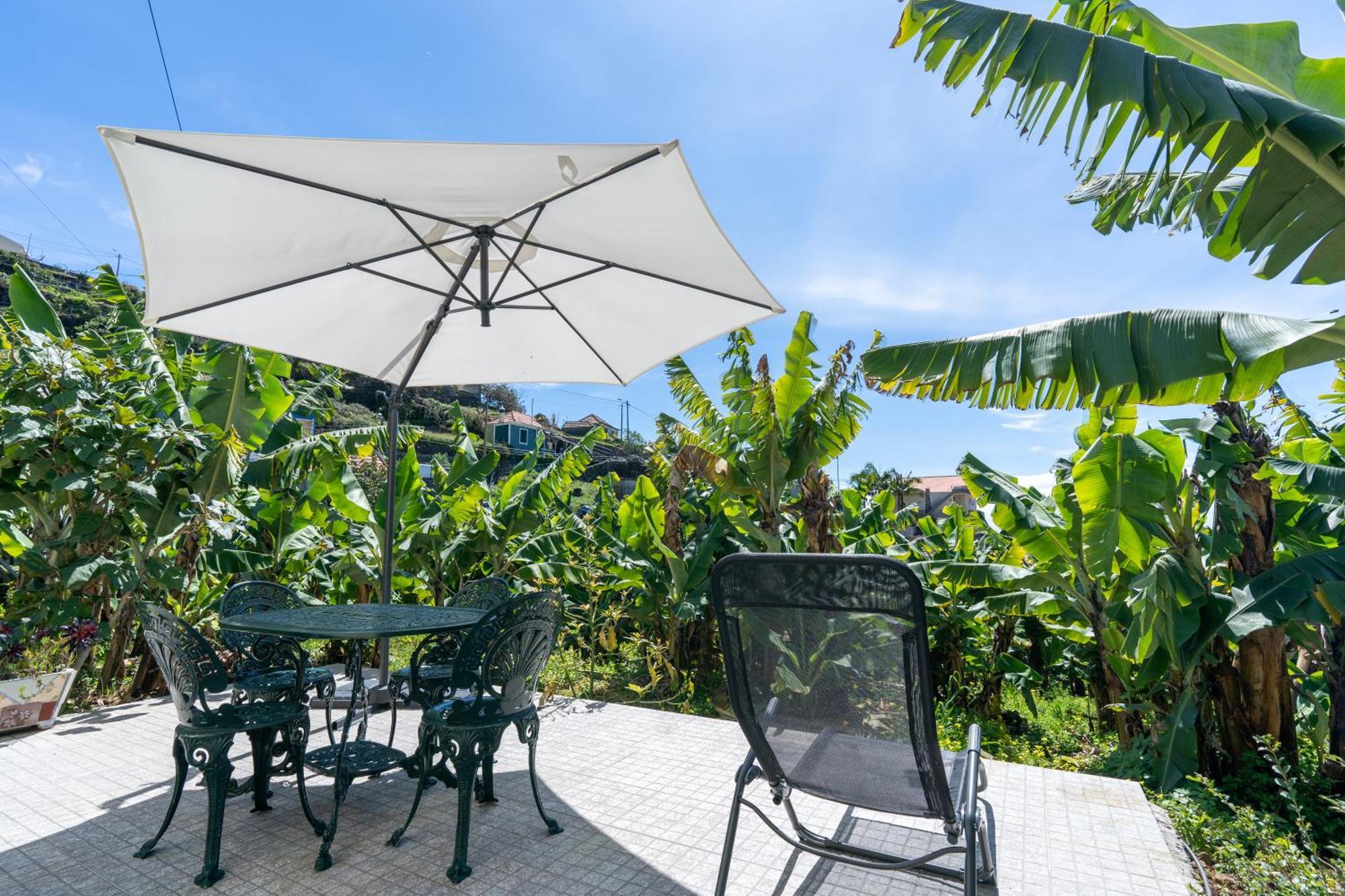 Holiday home Sleep Among The Bananas! Rustic With Trails At Your Doorstep *